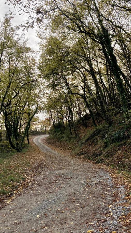 Penzion La Fonte Di Gaiche Piegaro  Exteriér fotografie