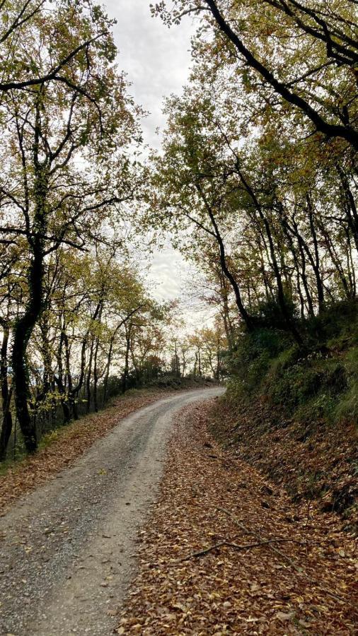 Penzion La Fonte Di Gaiche Piegaro  Exteriér fotografie